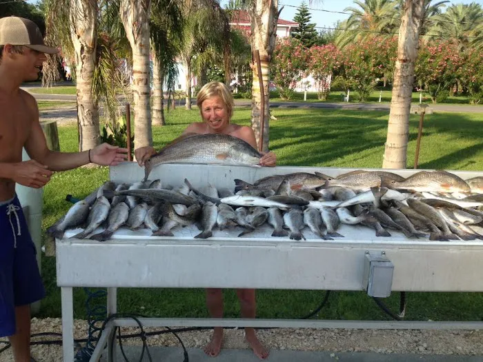 Island House RV Park Picture 1