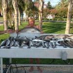 Island House RV Park