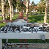 Island House RV Park ico