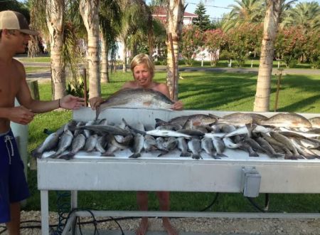 Island House RV Park