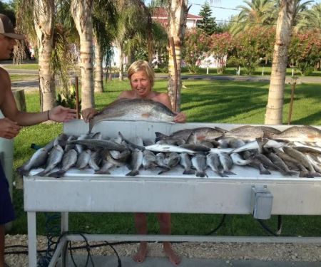 Island House RV Park