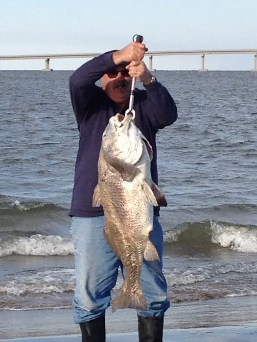 Island House RV Park Picture 6