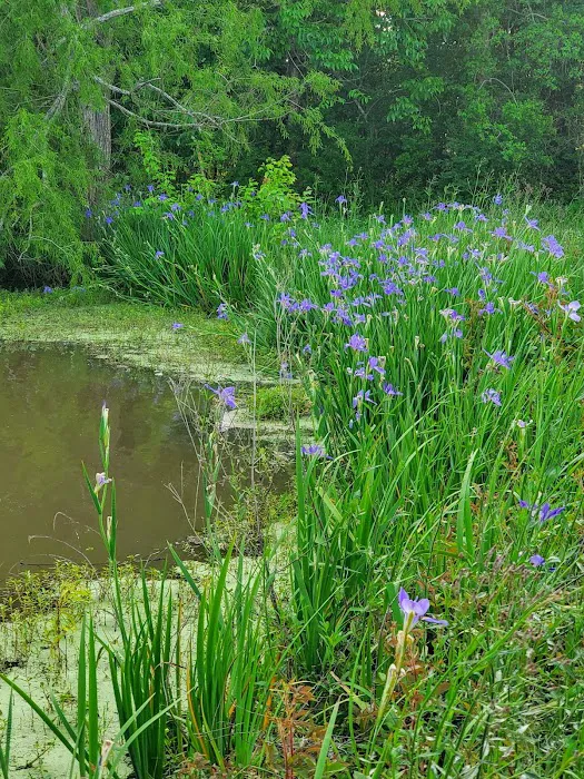 Lagniappe RV Park Picture 9