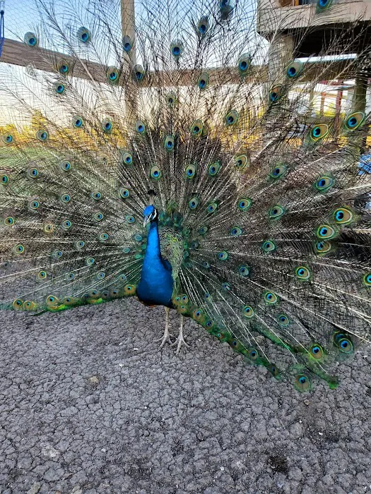 Lagniappe RV Park Picture 7