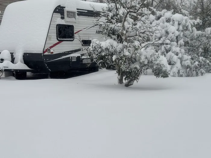 Intracoastal campground & rv park Picture 6