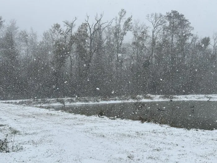 Intracoastal campground & rv park Picture 5