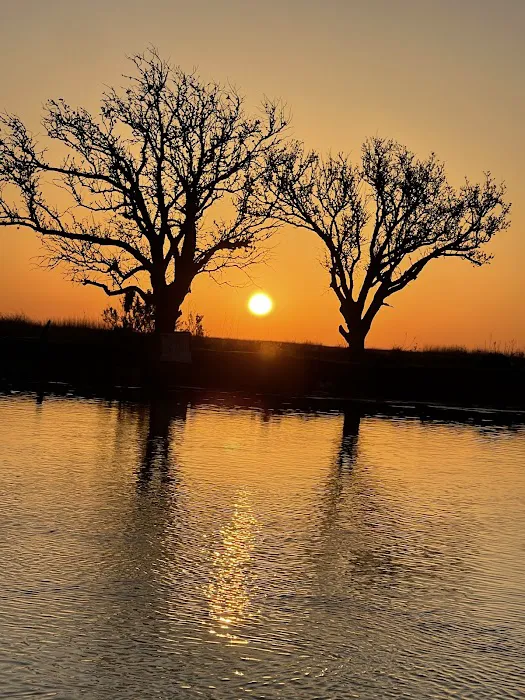 Quality Time Properties RV Campground Picture 4