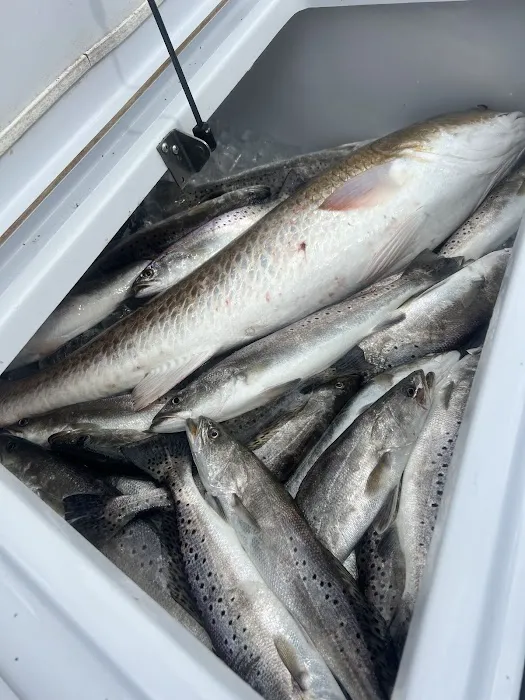 Quality Time Properties RV Campground Picture 7