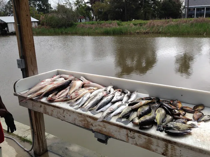 Quality Time Properties RV Campground Picture 3