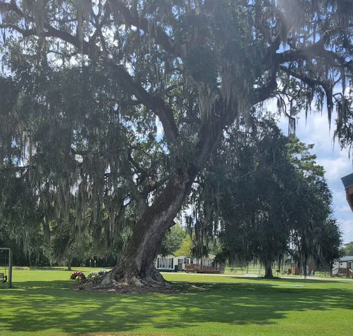 Hideaway Ponds Resort Picture 8