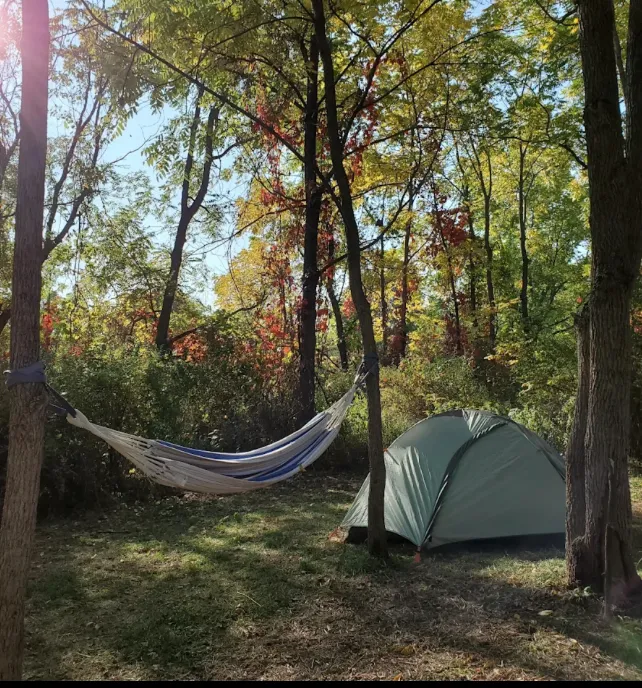 Pooh’s Corner Picture 2