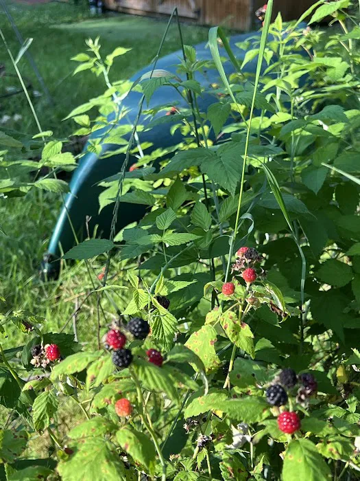 Pooh’s Corner Picture 3