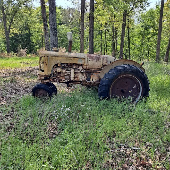 Texarkana RV Music Park Picture 9