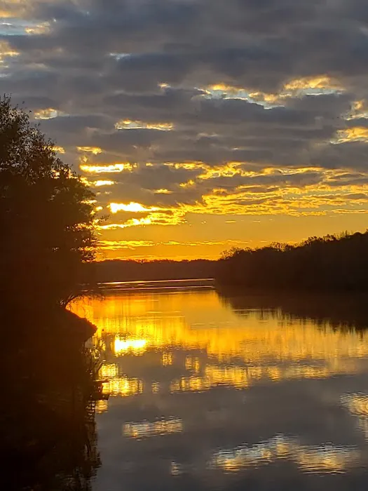 Nashville Ferry Landing Picture 7