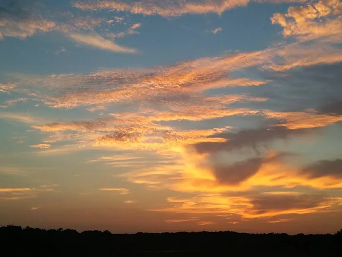 Nashville Ferry Landing Picture 6