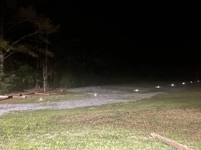 Delliamaervparkllc Picture 8