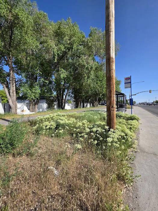 Sherwood Forest Mobile Home Picture 6