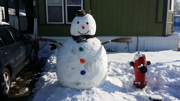 Sherwood Forest Mobile Home Picture 4