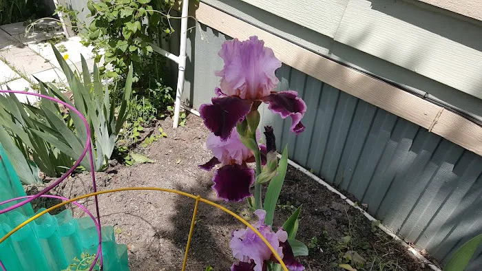 Sherwood Forest Mobile Home Picture 7