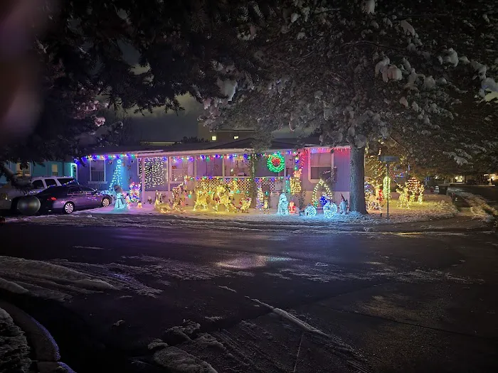 All Seasons Picture 4