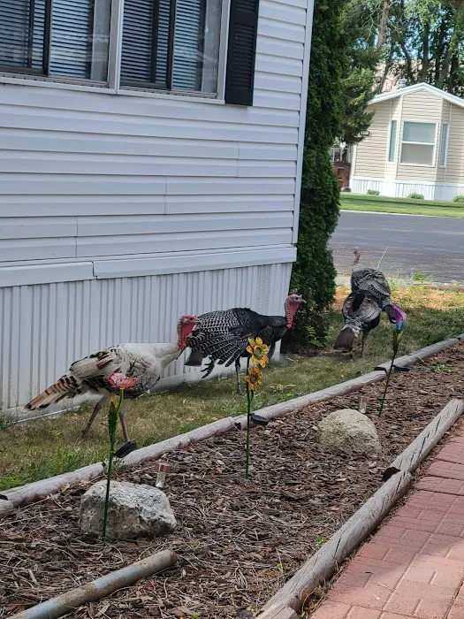 All Seasons Picture 7