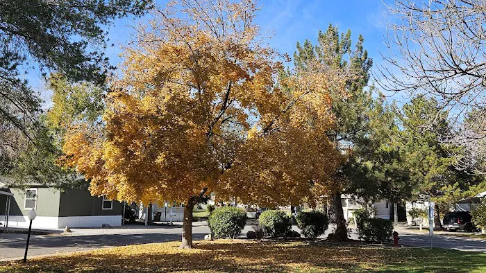 All Seasons Picture 1