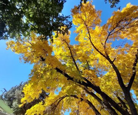 American Heritage Retirement Community