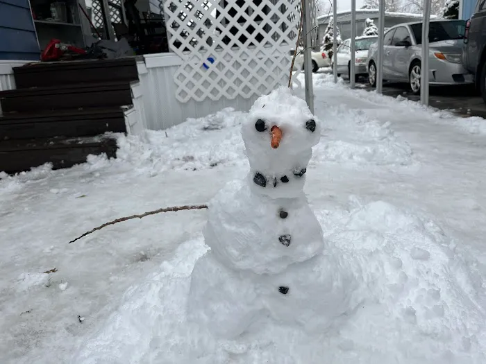 Majestic Oaks Picture 5