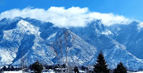 Sky View RV & Mobile Home Park Picture 3