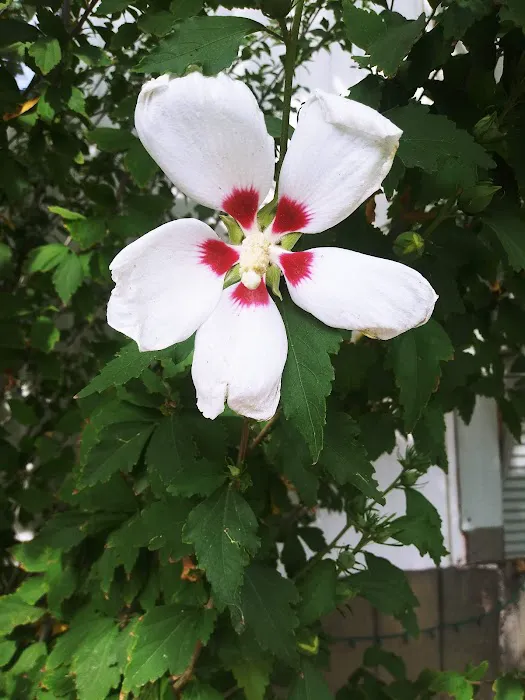 Sandee Village Mobile Home Park Picture 3