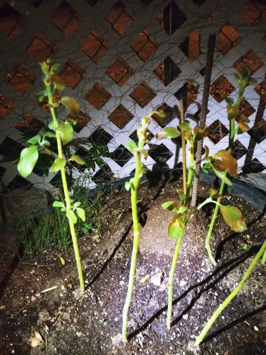 Sandee Village Mobile Home Park Picture 7