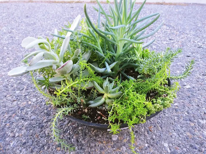 Sandee Village Mobile Home Park Picture 9