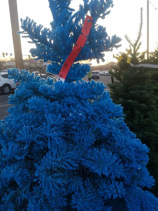 Sandee Village Mobile Home Park Picture 2