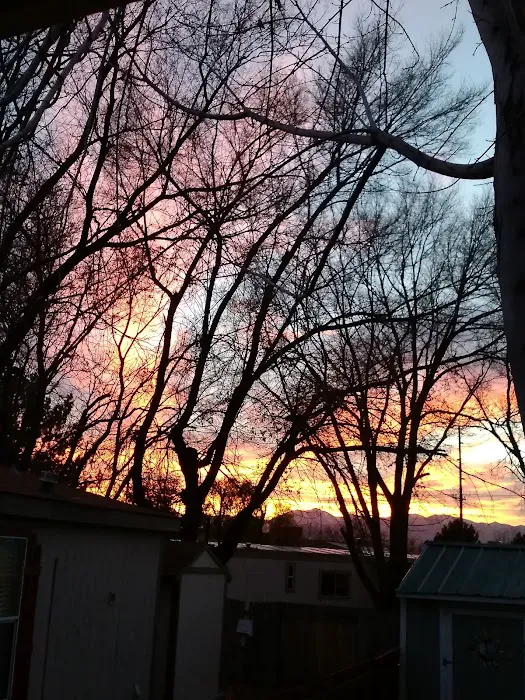 Parkway Manufactured Housing Community Picture 5