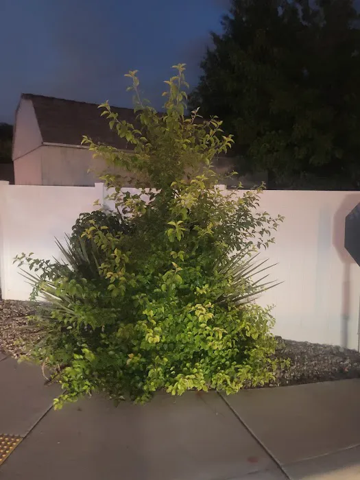 Parkway Manufactured Housing Community Picture 2