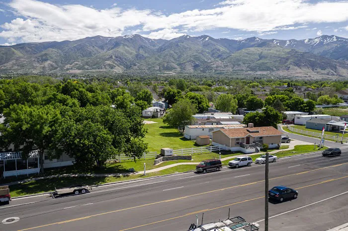 Willow Pines Picture 5