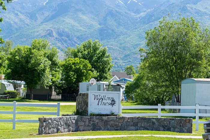 Willow Pines Picture 10