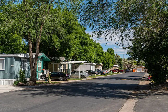 Willow Pines Picture 6