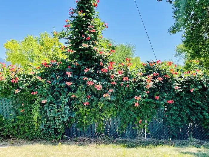 Circle L Manufactured Home Community Picture 3