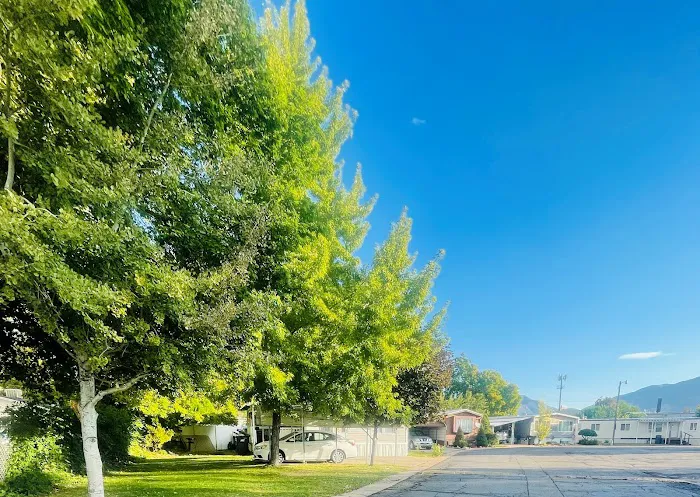 Circle L Manufactured Home Community Picture 4