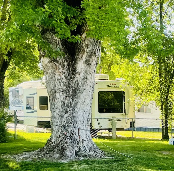 Circle L Manufactured Home Community Picture 8