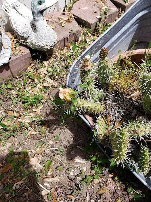 Park Village Mobile Home Park Office Picture 6