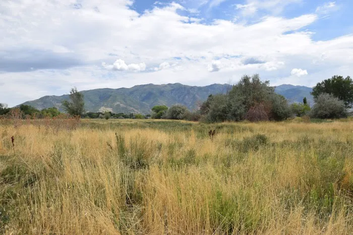 Lakeview Estates Manufactured Home Community Picture 5