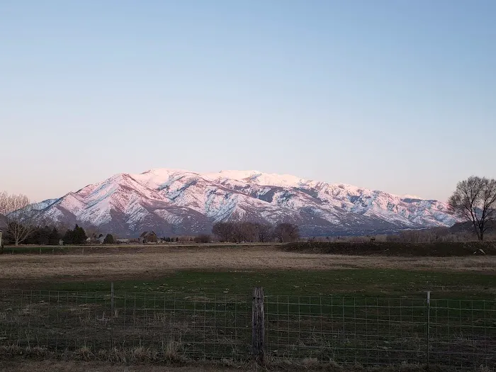 Cottonwood Picture 7