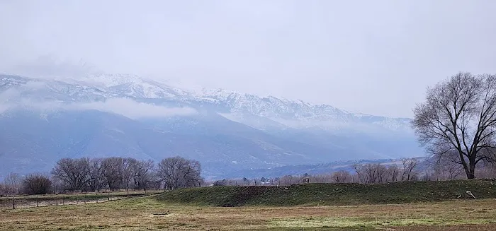 Cottonwood Picture 2