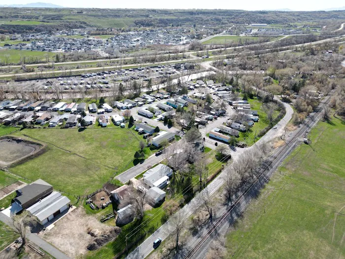 Cottonwood Picture 3