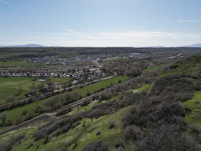 Cottonwood Picture 4