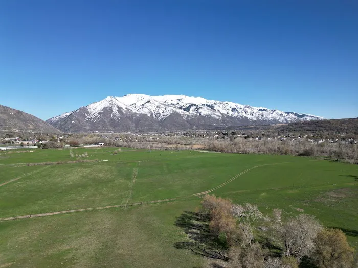 Cottonwood Picture 10