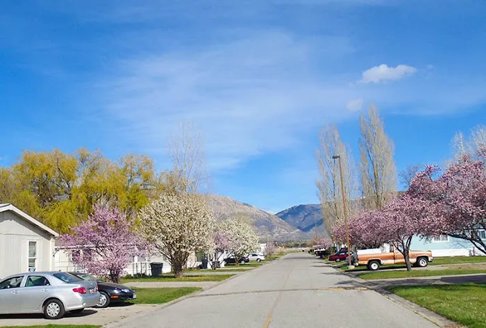 Midland Community Picture 8