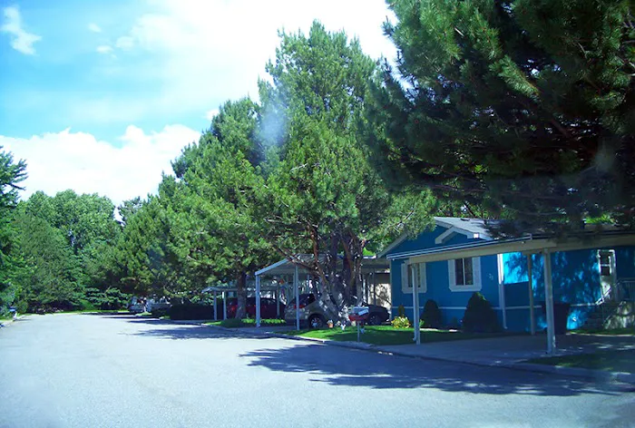 Midland Community Picture 4